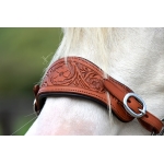 Edix ED4 Rose Hackamore Bridle Edix ED4 Rose Hackamore Bridle